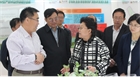 市委副書記、代市長艾麗華來我公司考察、調(diào)研