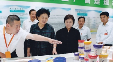 原中共中央政治局委員、國(guó)務(wù)院副總理劉延?xùn)|視察我公司